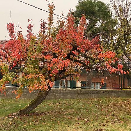 Al Vecchio Pero, Con Ampio Giardino Privato Villa La Morra Buitenkant foto